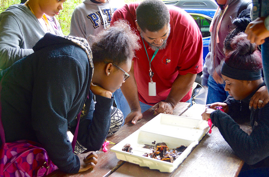 Young people gather around a plastic tray that contains small water creatures